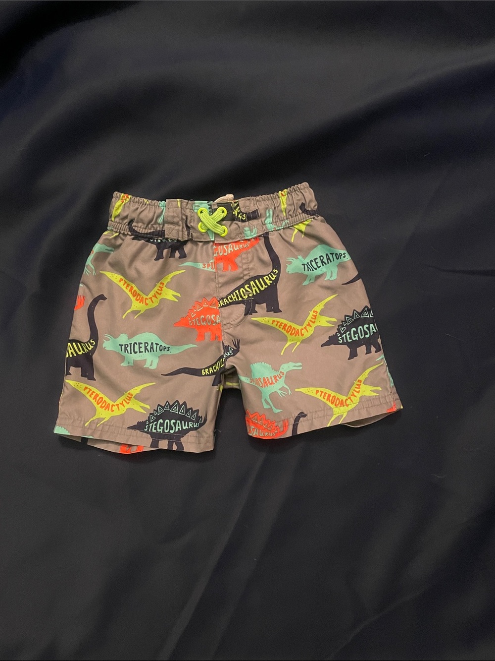 3T Dino swim trunks, Cat &Jack